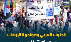 الجنوب العربي ومواجهة الإرهاب.. معركة المصير (إنفوجراف)