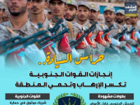 حراس السيادة.. إنجازات القوات الجنوبية تكسر الإرهاب وتحمي المنطقة (إنفوجراف)