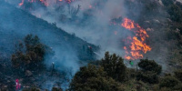 مصرع 12 شخصًا في حرائق غابات بالجزائر