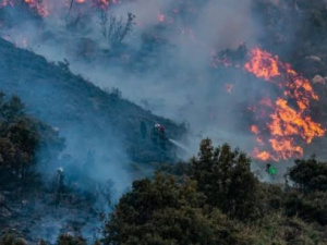 مصرع 12 شخصًا في حرائق غابات بالجزائر