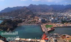 عودة بيع الحطب على الجمال في عدن إثر تفاقم أزمة الغاز