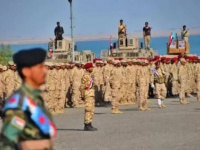 عقيدة الشرف والوفاء.. نضال القوات الجنوبية يحمي الثوابت وينتصر للهوية