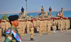 عقيدة الشرف والوفاء.. نضال القوات الجنوبية يحمي الثوابت وينتصر للهوية