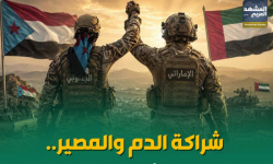 شراكة الدم والمصير.. دور إماراتي في بناء وتأهيل القوات المسلحة الجنوبية (إنفوجراف)