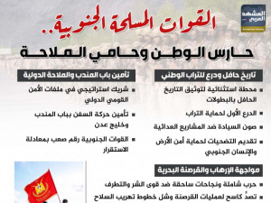 القوات المسلحة الجنوبية.. حارس الوطن وحامي الملاحة (إنفوجراف)
