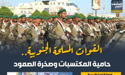 القوات المسلحة الجنوبية.. حامية المكتسبات وصخرة الصمود (إنفوجراف)