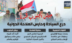 جيش الجنوب فخرنا.. درع السيادة وحارس الملاحة الدولية (إنفوجراف)