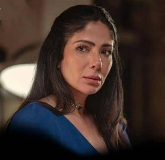 تفاصيل النزاع القانوني بشأن شقة الفنانة منى زكي