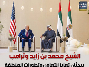 الشيخ محمد بن زايد وترامب يبحثان تعزيز التعاون وتطورات المنطقة (إنفوجراف)