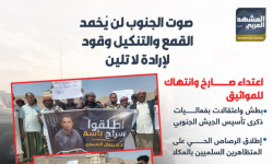 صوت الجنوب لن يُخمد.. القمع والتنكيل وقود لإرادة لا تلين (إنفوجراف)