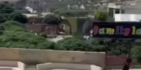 3 إصابات.. قرود تهاجم السكان في سوريا