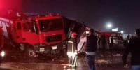 مصرع أشهر منقذ حيوانات في حادث سير مروع