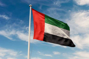 الإمارات تدعو مجلس الأمن لتوسيع حظر السلاح بالسودان