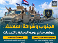 الجنوب وشراكة الملاحة.. موقف صارم بوجه الوصاية والتحديات (إنفوجراف)