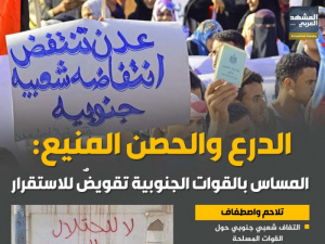 الدرع والحصن المنيع: المساس بالقوات الجنوبية تقويض للاستقرار (إنفوجراف)