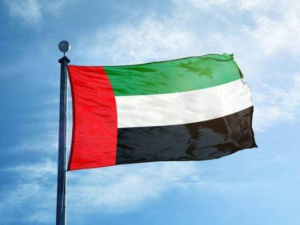 الإمارات تدين الهجمات الحوثية على الأراضي السعودية