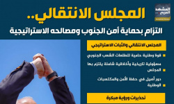 المجلس الانتقالي.. التزام بحماية الجنوب ومصالحه الاستراتيجية (إنفوجراف)