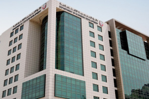 نمو عدد الرخص الاقتصادية الجديدة بمدينة العين 35% خلال النصف الأول