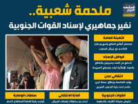 ملحمة شعبية.. نفير جماهيري لإسناد القوات الجنوبية (إنفوجراف)