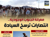 معركة الجنوب الوجودية.. انتصار المنصورة يرسخ السيادة (إنفوجراف)
