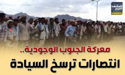 معركة الجنوب الوجودية.. انتصار المنصورة يرسخ السيادة (إنفوجراف)