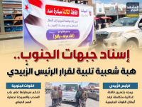 إسناد جبهات الجنوب.. هبة شعبية تلبية لقرار الرئيس الزُبيدي (إنفوجراف)