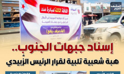 إسناد جبهات الجنوب.. هبة شعبية تلبية لقرار الرئيس الزُبيدي (إنفوجراف)