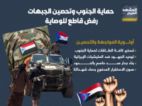 حماية الجنوب وتحصين الجبهات رفض قاطع للوصاية (إنفوجراف)