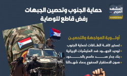 حماية الجنوب وتحصين الجبهات رفض قاطع للوصاية (إنفوجراف)