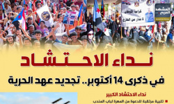 نداء الاحتشاد في ذكرى 14 أكتوبر.. تجديد عهد الحرية (إنفوجراف)