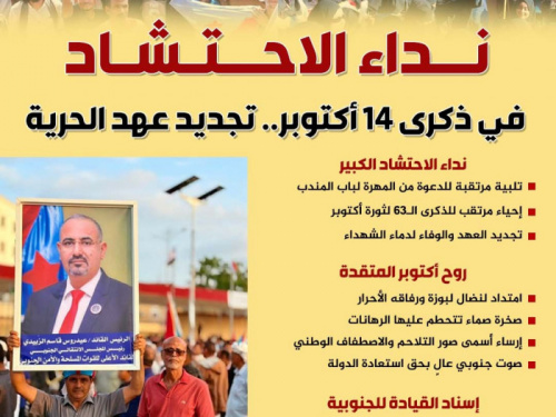نداء الاحتشاد في ذكرى 14 أكتوبر.. تجديد عهد الحرية (إنفوجراف)