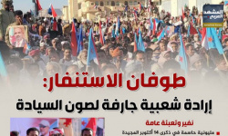 طوفان الاستنفار: إرادة شعبية جارفة لصون السيادة (إنفوجراف)