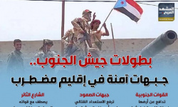 بطولات جيش الجنوب.. جبهات آمنة في إقليم مضطرب (إنفوجراف)