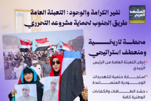 نفير الكرامة والوجود: التعبئة العامة طريق الجنوب لحماية مشروعه التحرري (إنفوجراف)