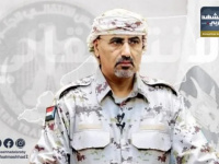 بقيادة الرئيس الزُبيدي: الجنوب يواصل النضال الإقليمي والدولي لانتزاع حق استعادة الدولة