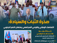صخرة الثبات والسيادة: التماسك الوطني والوعي المجتمعي يصنعان النصر الجنوبي (إنفوجراف)