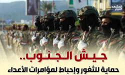 جيش الجنوب.. حماية للثغور وإحباط لمؤامرات الأعداء (إنفوجراف)