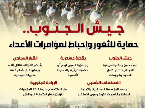 جيش الجنوب.. حماية للثغور وإحباط لمؤامرات الأعداء (إنفوجراف)