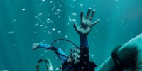 21 مليون دولار حصيلة إيرادات فيلم  Whalefall