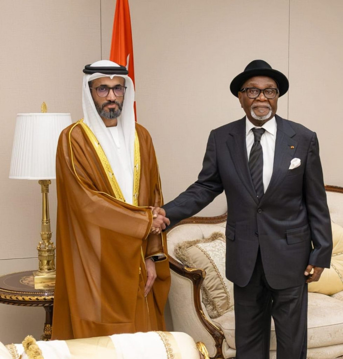 سفير الإمارات يقدم أوراق اعتماده إلى رئيس جمهورية توغو سفير الإمارات يقدم أوراق اعتماده إلى رئيس جمهورية توغو