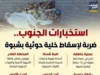استخبارات الجنوب.. ضربة لإسقاط خلية حوثية بشبوة (إنفوجراف)