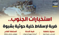 استخبارات الجنوب.. ضربة لإسقاط خلية حوثية بشبوة (إنفوجراف)