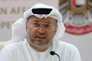 &laquo;بطولة مشرّفة&raquo;.. قرقاش يشيد بتكريم طاقم &laquo;فلاي دبي&raquo; بوسام زايد الثاني